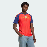 Jersey Spain Home 26/27 - Champions of the World