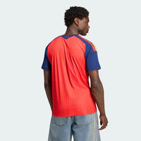 Jersey Spain Home 26/27 - Champions of the World